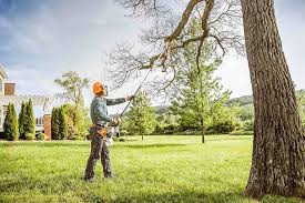 Best Tree and Shrub Care  in Southgate, FL